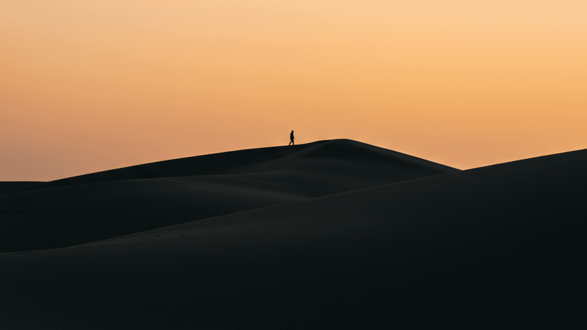 VTX Studio – Background